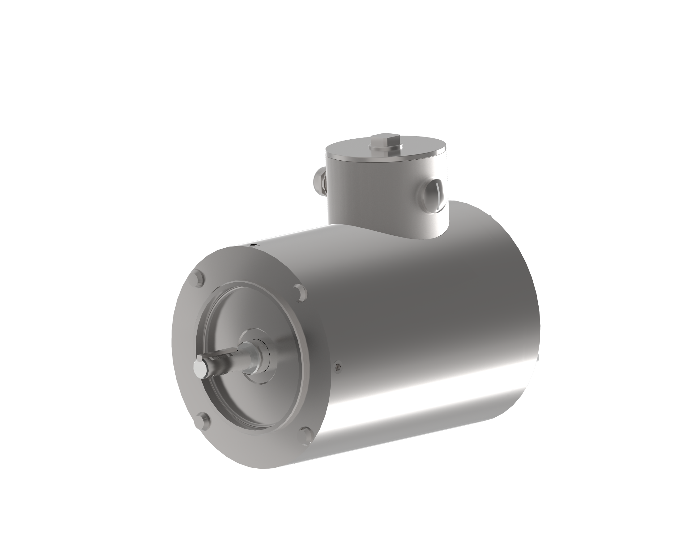 Stainless Steel Motor (Non-Vented)